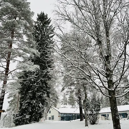 Polku Hotelli 4*
